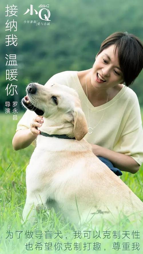 pmp证书网上无法查询